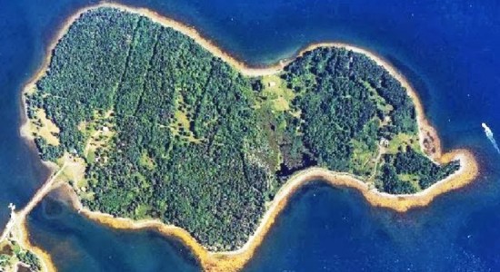 Тайна дубового острова