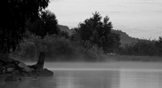 Хомячки на озере Иткуль