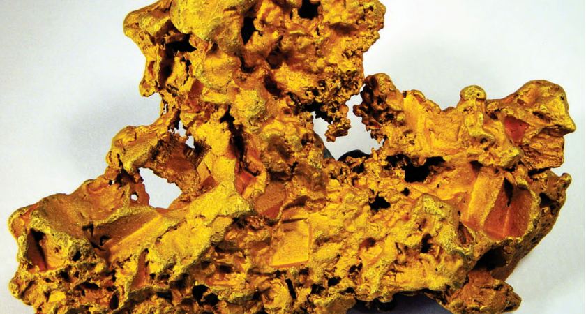 день ископаемых