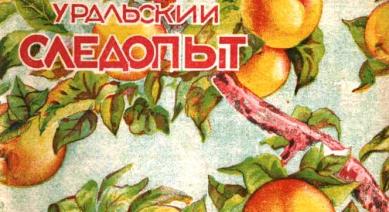 Для читателей доступен номер журнала “Уральский следопыт” за август 1935 года.