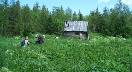 Сцепились в «стенку» и пошли