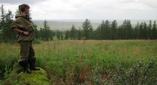 Ушли за облака — покататься