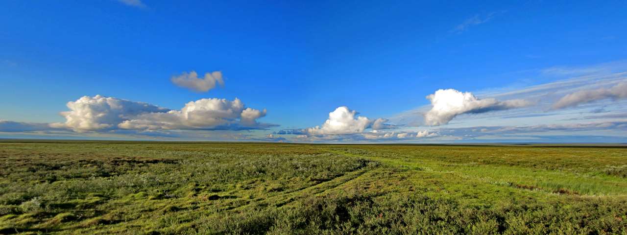 Тундра без границ и ориентиров