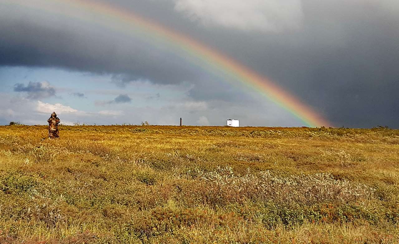 Сказка в тундре.