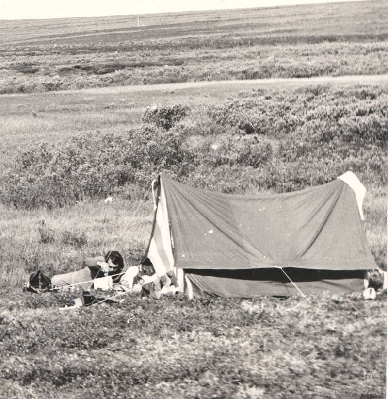 Наш лагерь в тундре