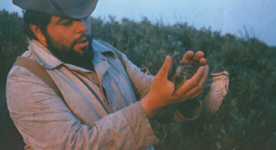 На оленьей тропе