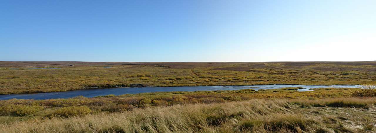 Юнь-Яга — тундровая река.