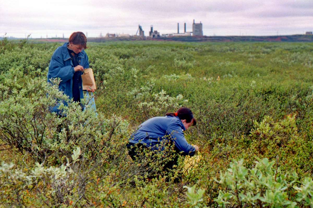 Ботаники за сбором научного материала.