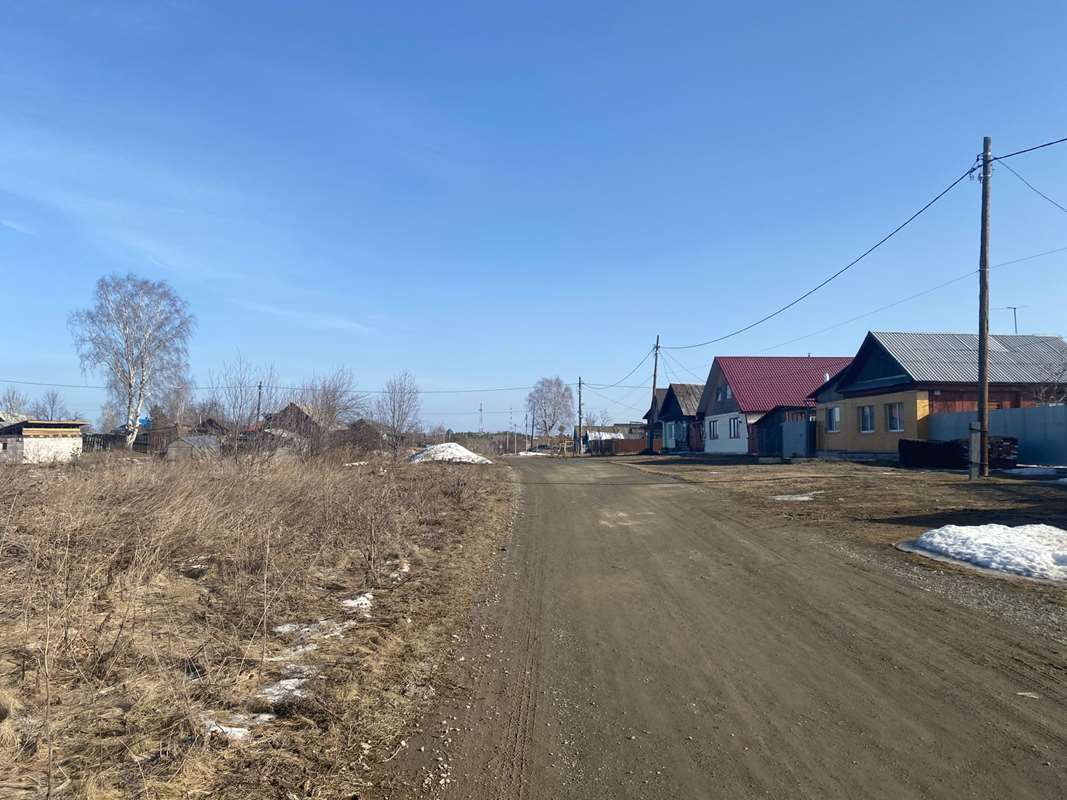 Дорога на покос. 2024 г. Фото Ю. Суворовой