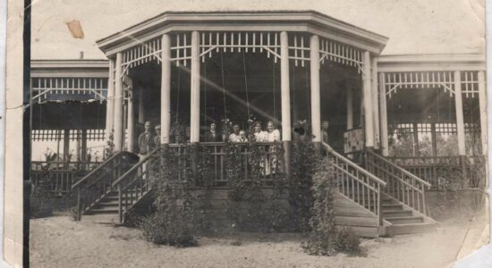 Из избы ни вон