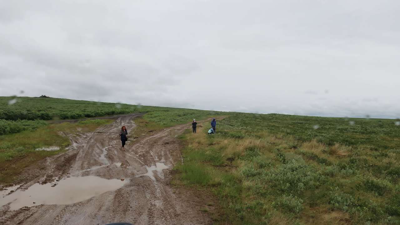 Подобных дорог в тундре вокруг Воркуты очень много.