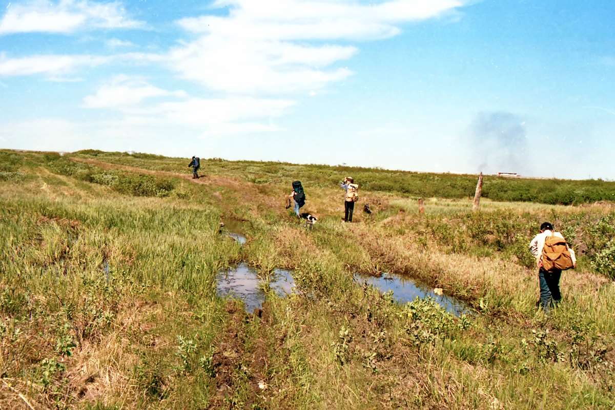 Семь шагов за горизонт