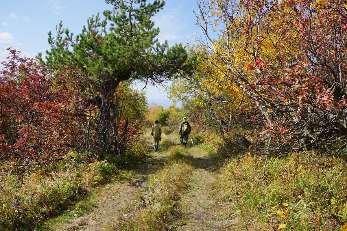 Дорога к Масим-тау