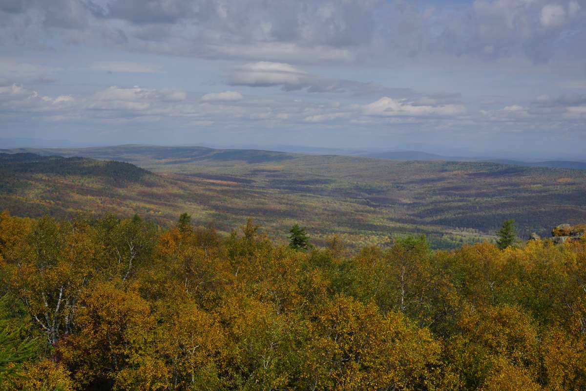 Уральская тайга