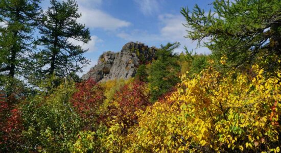 Манящая нежность двуглавой вершины