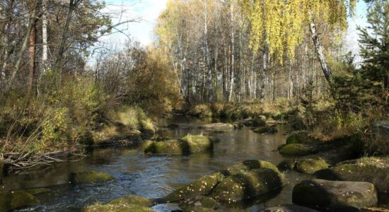 Жизнь проходит через реку