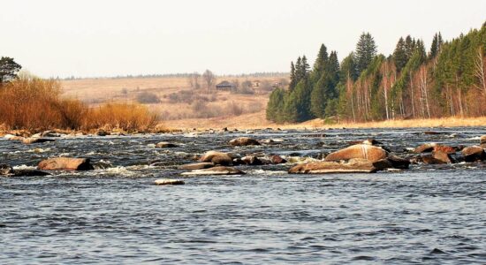 Разгадать тайну