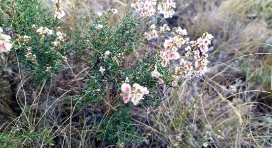 История одной фотографии