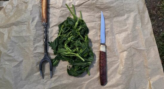 Как итальянцы на сплаве