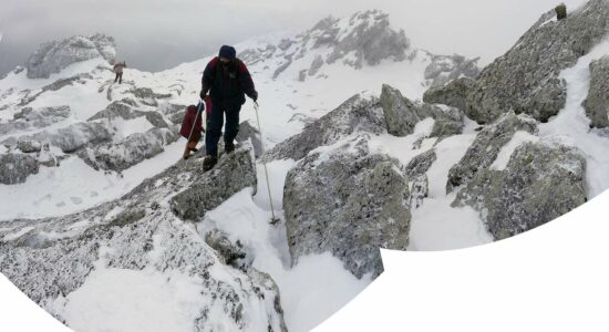 Настоящих буйных мало