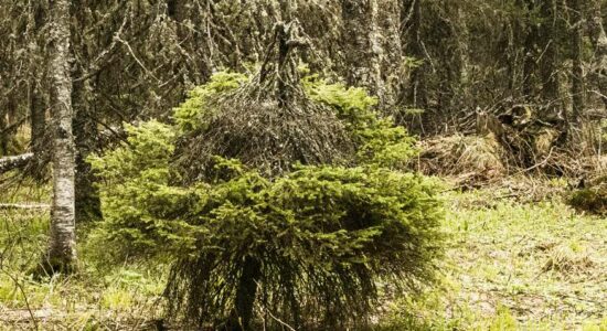 Угадать время