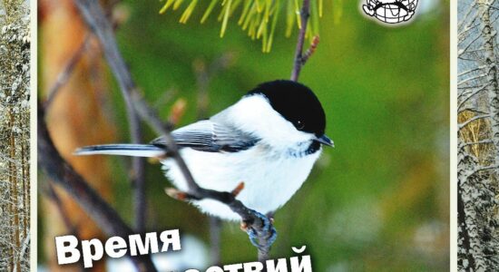 Уральский следопыт, февраль 2026