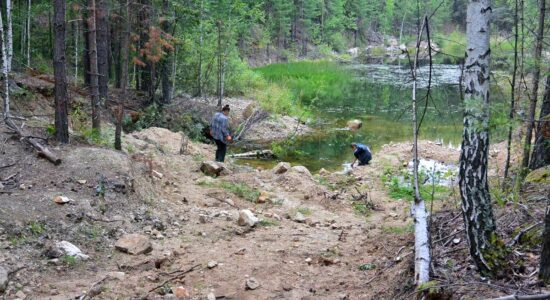 Хорошо бы вовремя свернуть
