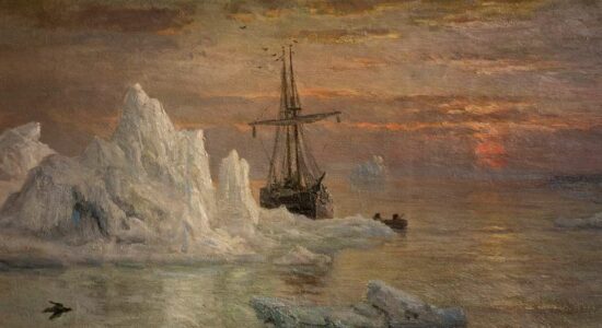 В холодных водах высокой Арктики