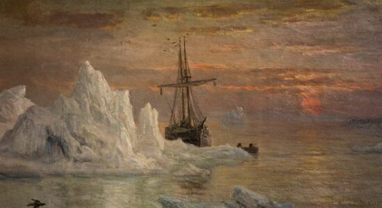 В холодных водах высокой Арктики