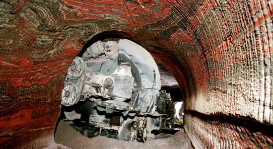 Перенос жизни во времени