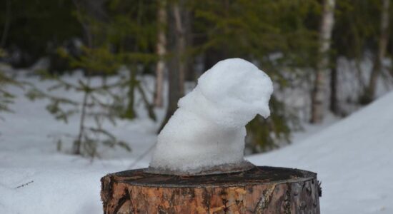 Рады все весну встречать